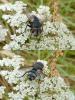 91291 – Photo : Patrick Le Mao – France (22)