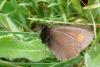 91239 – Photo : Patrick Le Mao – France (73)