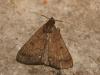 91430 – Photo : Pierre Gros – France (06)
