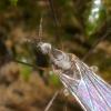 91378 – Photo : Pierre Gros – France (06)