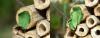 91681 – Photo : gauthier – France (38)