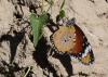 91485 – Photo : Eric SYLVESTRE – Espagne