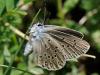 91285 – Photo : Prisca – France (05)