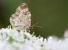 91243 – Photo : patrick derennes – France (91)