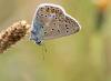 91404 – Photo : patrick derennes – France (91)