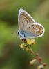 91401 – Photo : patrick derennes – France (91)