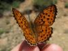 91642 – Photo : Sylvain Fadda – France (84)