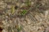 91543 – Photo : Michel Ehrhardt – France (58)
