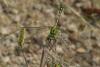 91544 – Photo : Michel Ehrhardt – France (58)