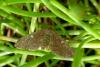 91600 – Photo : Patrick Le Mao – France (22)