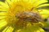 91372 – Photo : Phil – France (40)