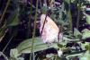91415 – Photo : Sabatino Ugo – France (84)