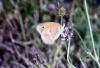 91416 – Photo : Sabatino Ugo – France (84)
