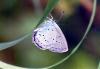 91609 – Photo : Sabatino Ugo – France (37)