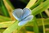 91610 – Photo : Sabatino Ugo – France (37)