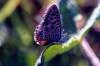 91667 – Photo : Sabatino Ugo – France (84)