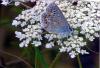 91721 – Photo : Sabatino Ugo – France (84)