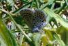91846 – Photo : Sabatino Ugo – France (84)