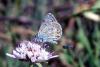 91847 – Photo : Sabatino Ugo – France (84)
