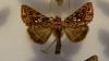 91308 – Photo : Emmanuel Macé – France (04)