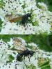 91070 – Photo : Patrick Le Mao – France (73)