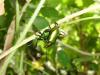 91739 – Photo : X.leen – Thaïlande