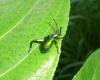 91738 – Photo : X.leen – Thaïlande