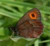 91433 – Photo : Pelouard – France (74)