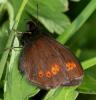 91664 – Photo : Pelouard – France (74)
