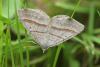 91235 – Photo : Marc Solari – France (68)