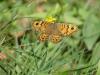 91275 – Photo : Fred More – France (22)