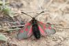 91071 – Photo : Pierre SENGEZ – France (04)