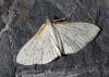 92569 – Photo : Eric SYLVESTRE – Espagne
