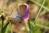 92476 – Photo : Nicolas Alric – France (12)
