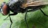 92443 – Photo : Elisabeth A. Harris – Royaume-Uni