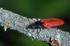 92658 – Photo : Christophe Quintin – France (21)