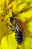 92366 – Photo : Christophe Quintin – France (21)