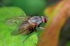 92506 – Photo : Christophe Quintin – France (21)