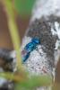 92135 – Photo : Maite Santisteban Rivero – Espagne