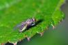 92966 – Photo : Christophe Quintin – France (21)