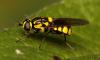 92895 – Photo : Vincent Derreumaux – France (65)