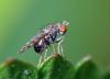 92054 – Photo : Christophe Quintin – France (21)