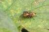 92499 – Photo : Michel Mathieu – France (14)