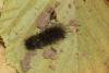 92456 – Photo : Michel Mathieu – France (14)
