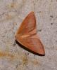 92662 – Photo : Arnaud Jean-Pierre – France (09)