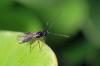 92756 – Photo : Christophe Quintin – France (21)