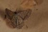 92399 – Photo : Paul Cabrol – France (09)