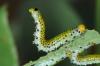 92668 – Photo : Paul Cabrol – France (09)
