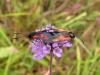 92232 – Photo : jeromebubu – France (47)