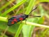 92230 – Photo : jeromebubu – France (47)